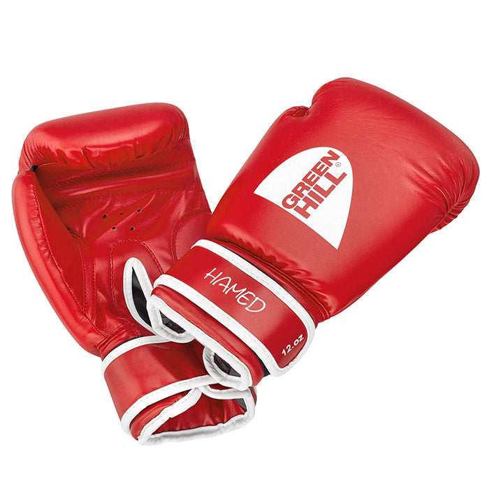 Boxing Gloves HAMED WITH TARGET