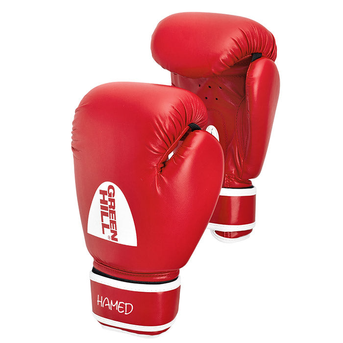 Boxing Gloves HAMED WITH TARGET