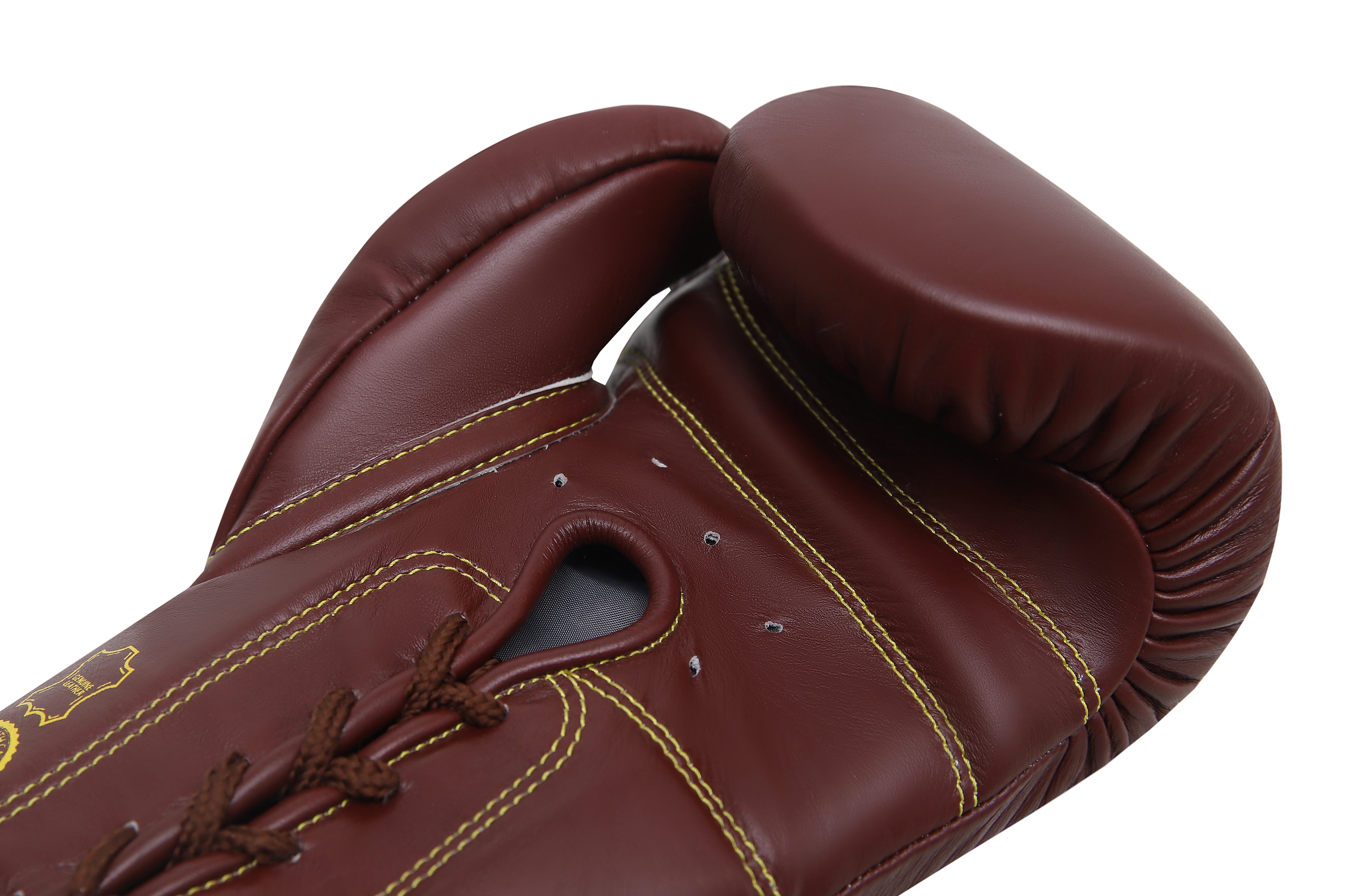 Boxing Gloves Eagle Eye